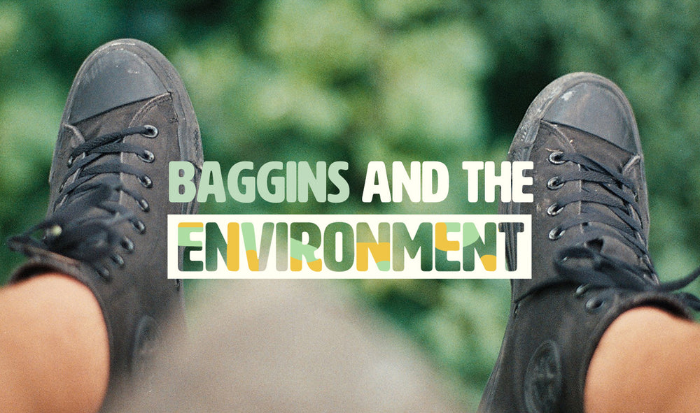 BAGGINS AND THE ENVIRONMENT