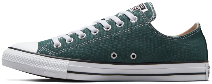 Converse Chuck Taylor All Star Low Top True Nature