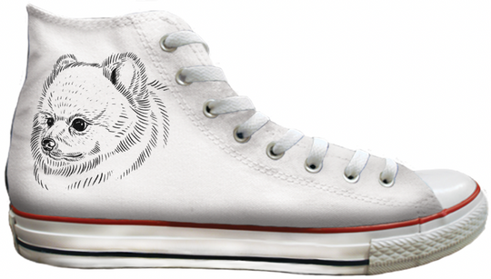 Baggins Original Hi top Pomeranian