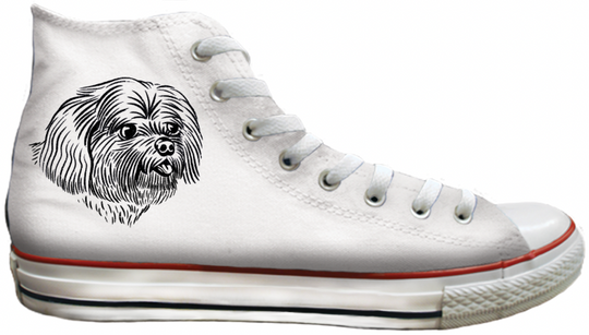 Baggins Original Hi top Shih Tzu