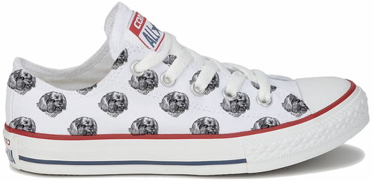 Baggins Original Low top Shih Tzu