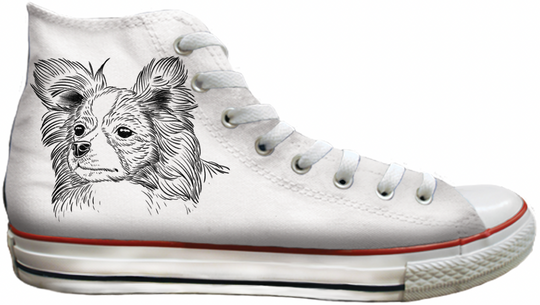 Baggins Original Hi top Papillion