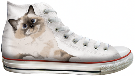 Baggins Original Hi Top Balinese Cat