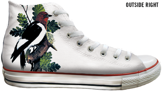 Baggins Original Hi Top Botanical Birds